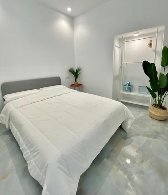Apartamento Isasa Кордова Экстерьер фото
